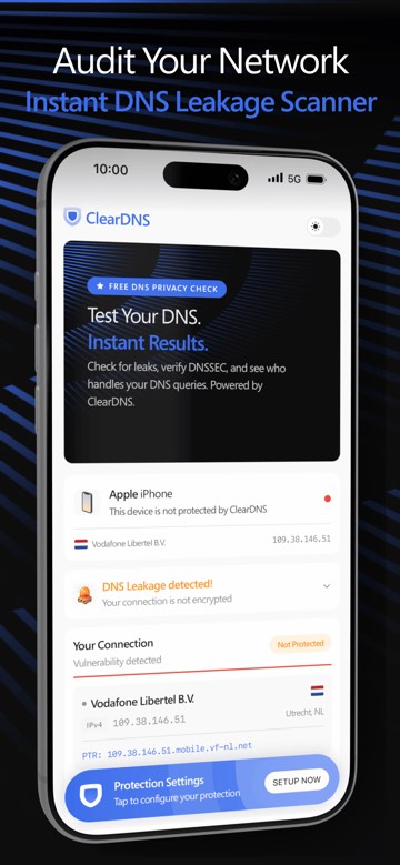 ClearDNS free DNS privacy check on an unprotected iPhone, reporting DNS leakage and an unencrypted connection, captioned Audit Your Network
